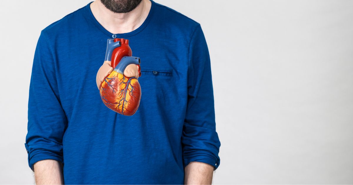 Consultation cardiologie adulte : Expertise et précision