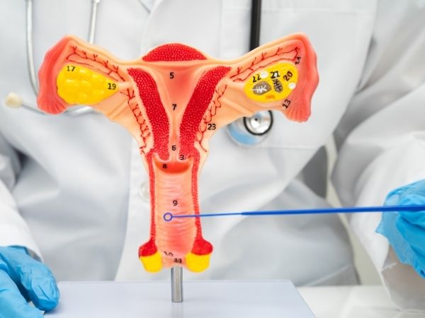 Gynécologie et Obstétrique