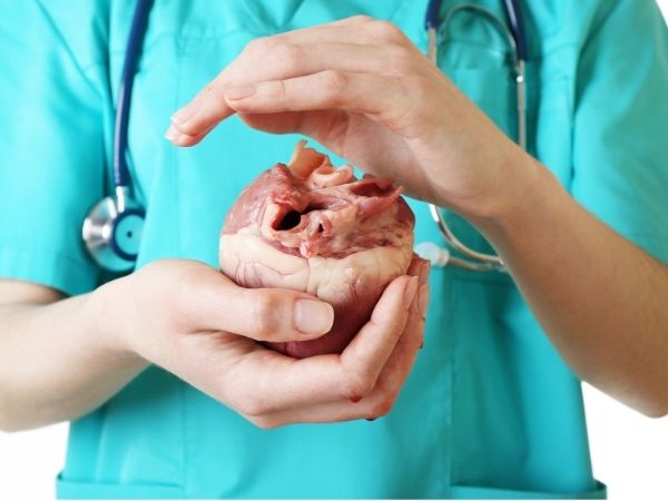 Médecine : Consultations en Cardiologie pour Adultes et Enfants